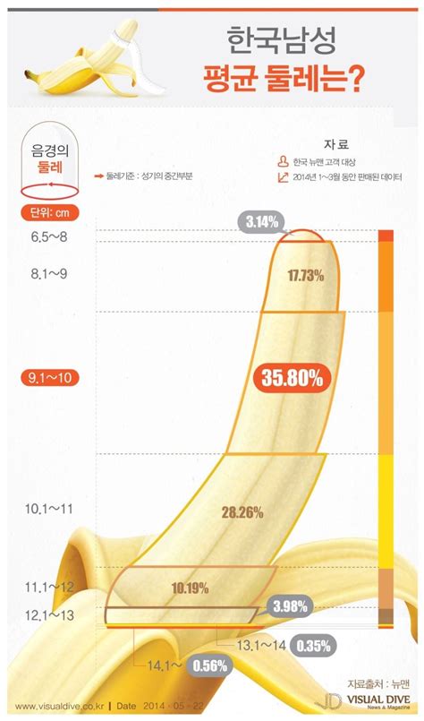 한국 남성 성기 크기
